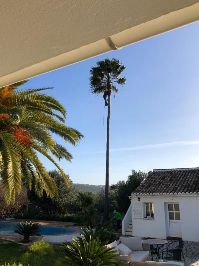 Quinta Quinze Bed & Breakfast Boliqueime Luaran gambar